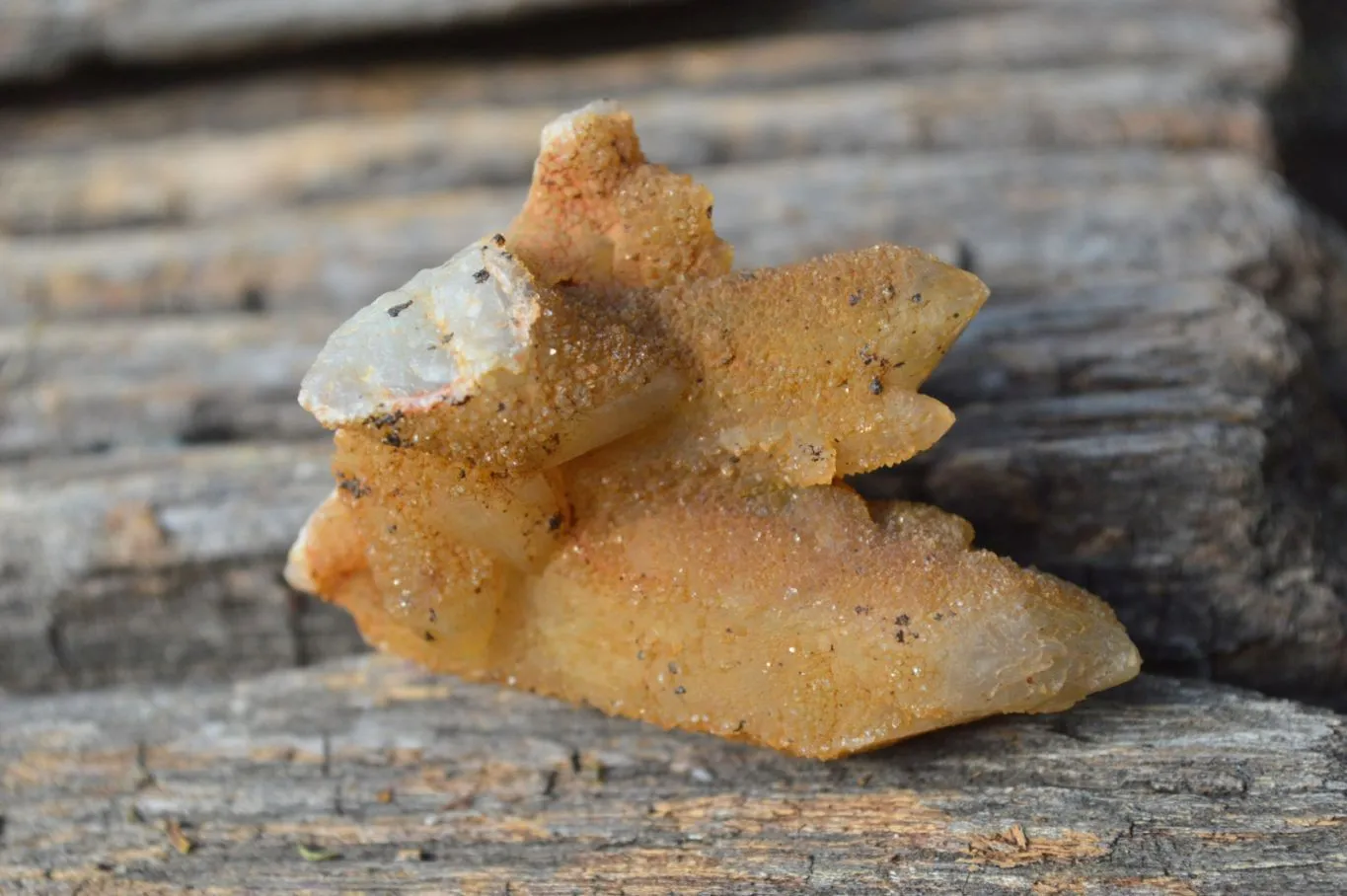 Natural Golden Limonite Fairy Spirit Quartz Finger Clusters x 35 From Boekenhouthoek, South Africa
