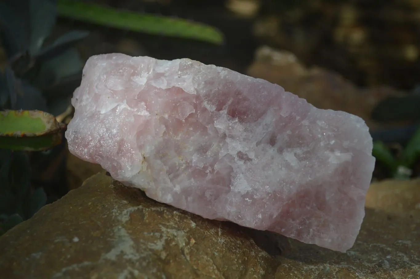 Natural Rough Pink Rose Quartz Specimens  x 4 From Namibia