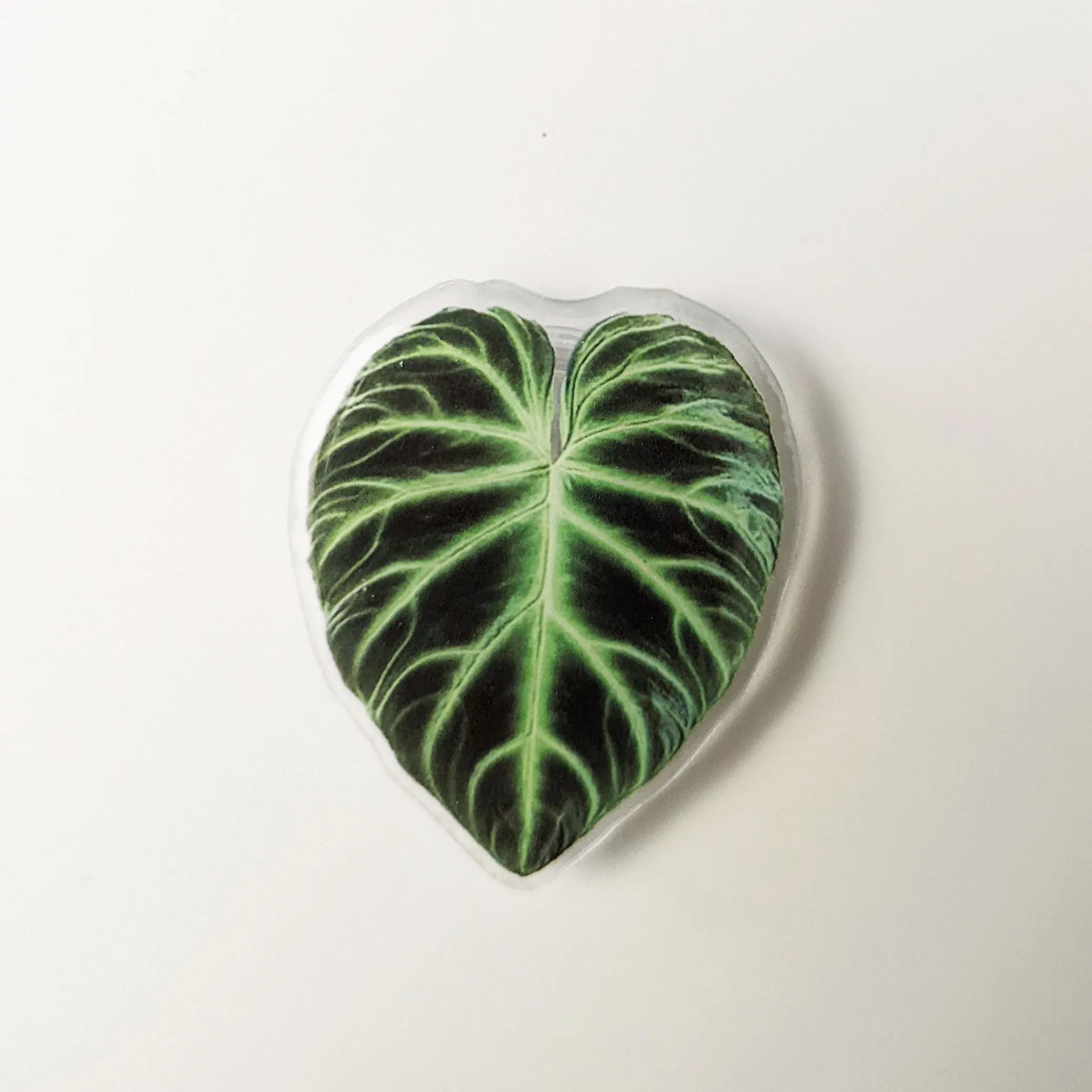 Rare Plant Leaf Phone Grip