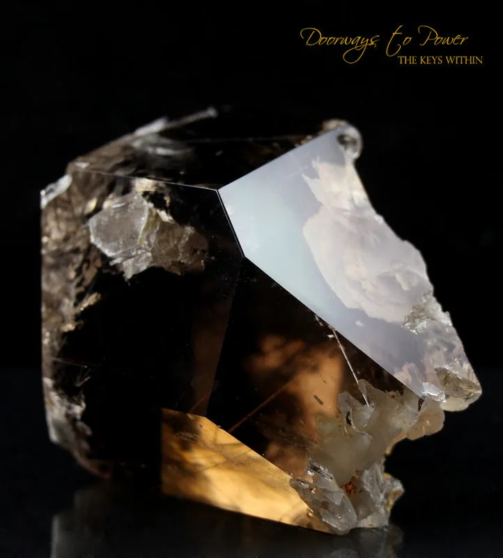 Smoky Manifestation Quartz Golden Rutile's Crystal