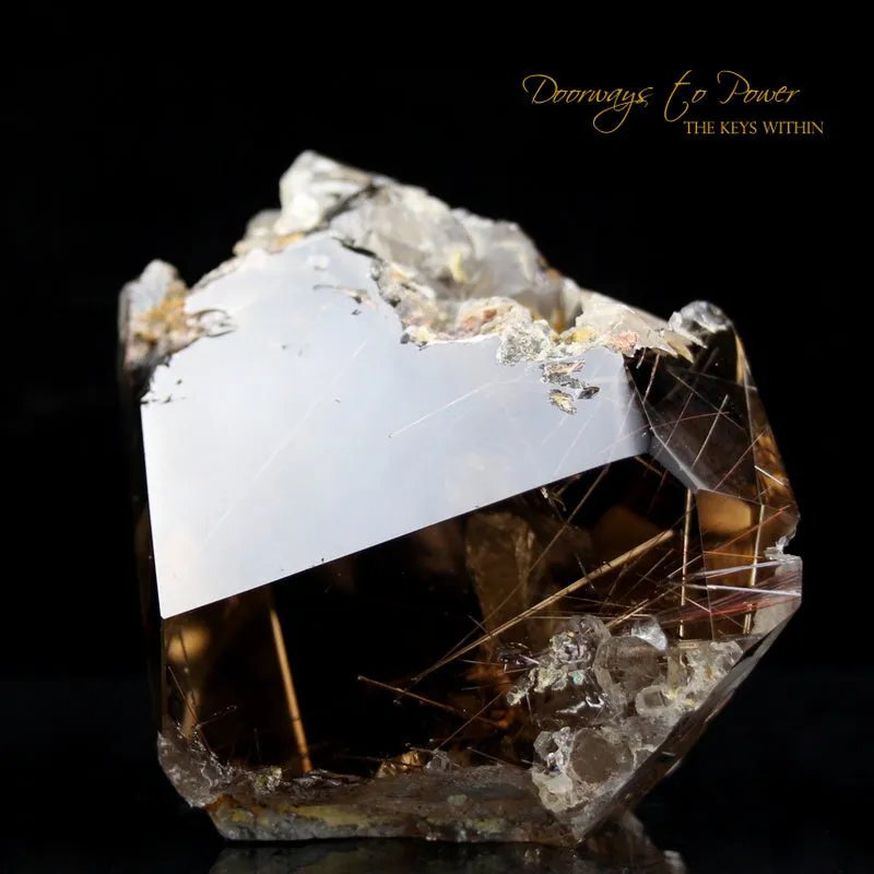Smoky Manifestation Quartz Golden Rutile's Crystal