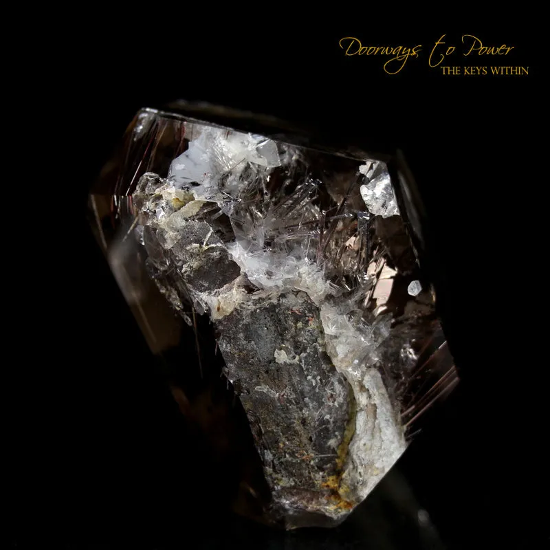 Smoky Manifestation Quartz Golden Rutile's Crystal