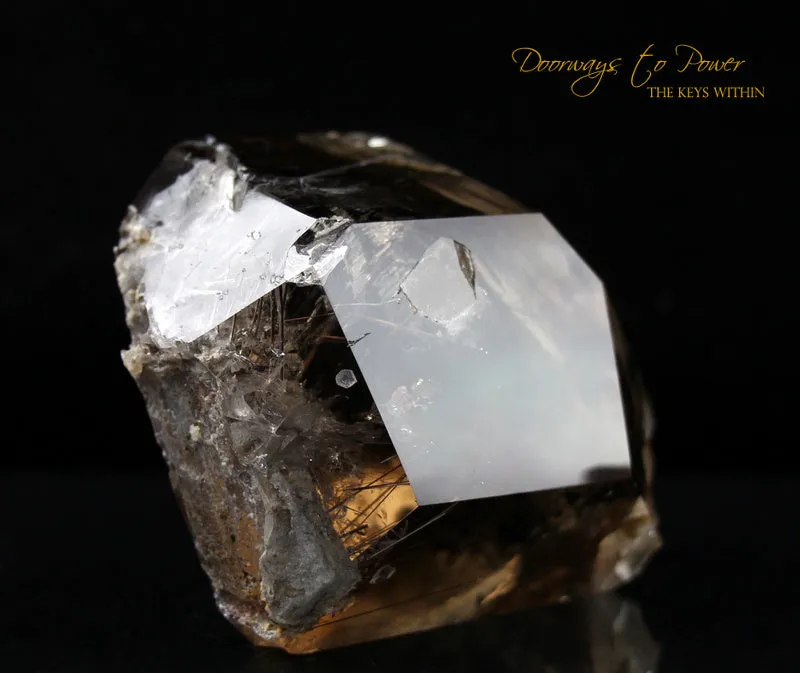 Smoky Manifestation Quartz Golden Rutile's Crystal